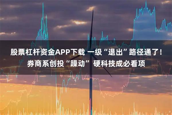 股票杠杆资金APP下载 一级“退出”路径通了！券商系创投“躁动” 硬科技成必看项