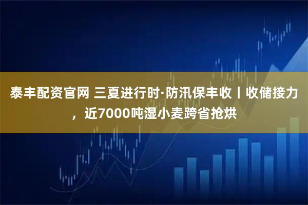 泰丰配资官网 三夏进行时·防汛保丰收丨收储接力,近7000吨湿小麦跨省抢烘